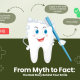 Top 7 Dental Myths Busted – What You Should Really Know