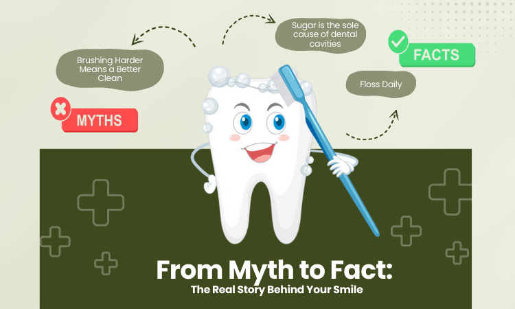 Top 7 Dental Myths Busted – What You Should Really Know
